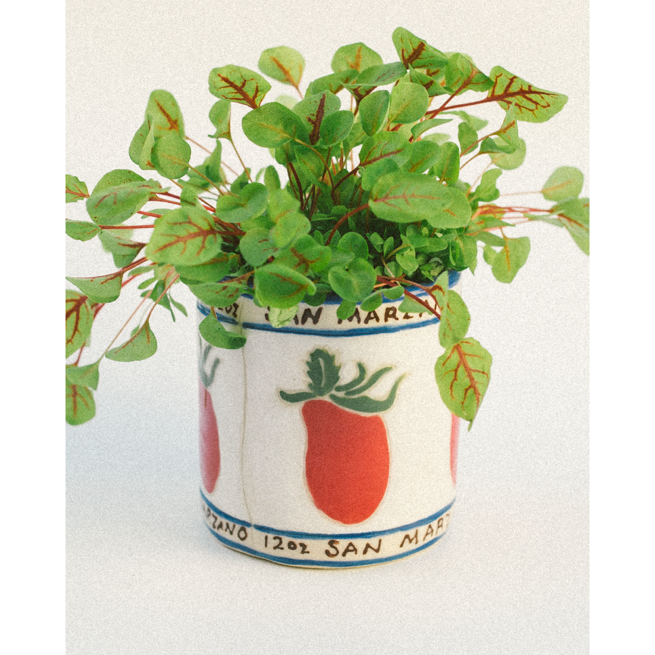 Tomato Ceramic Cup