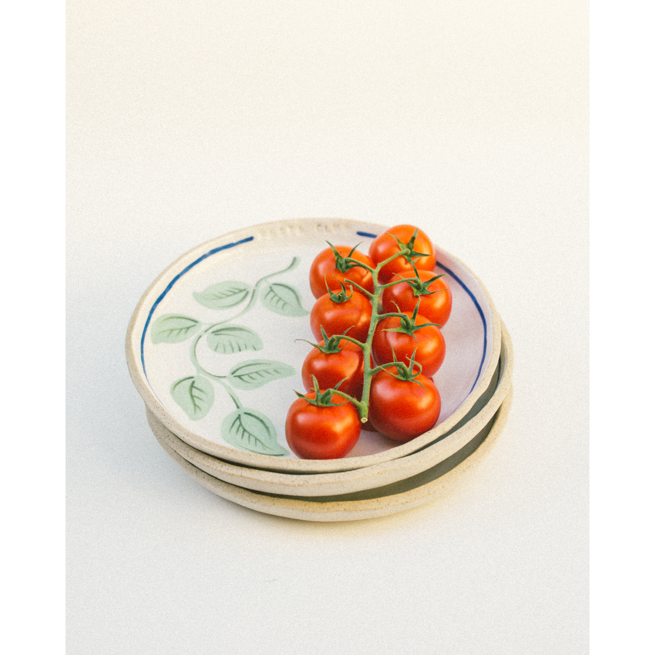 Pasta Club - Tomato & Basil Plate